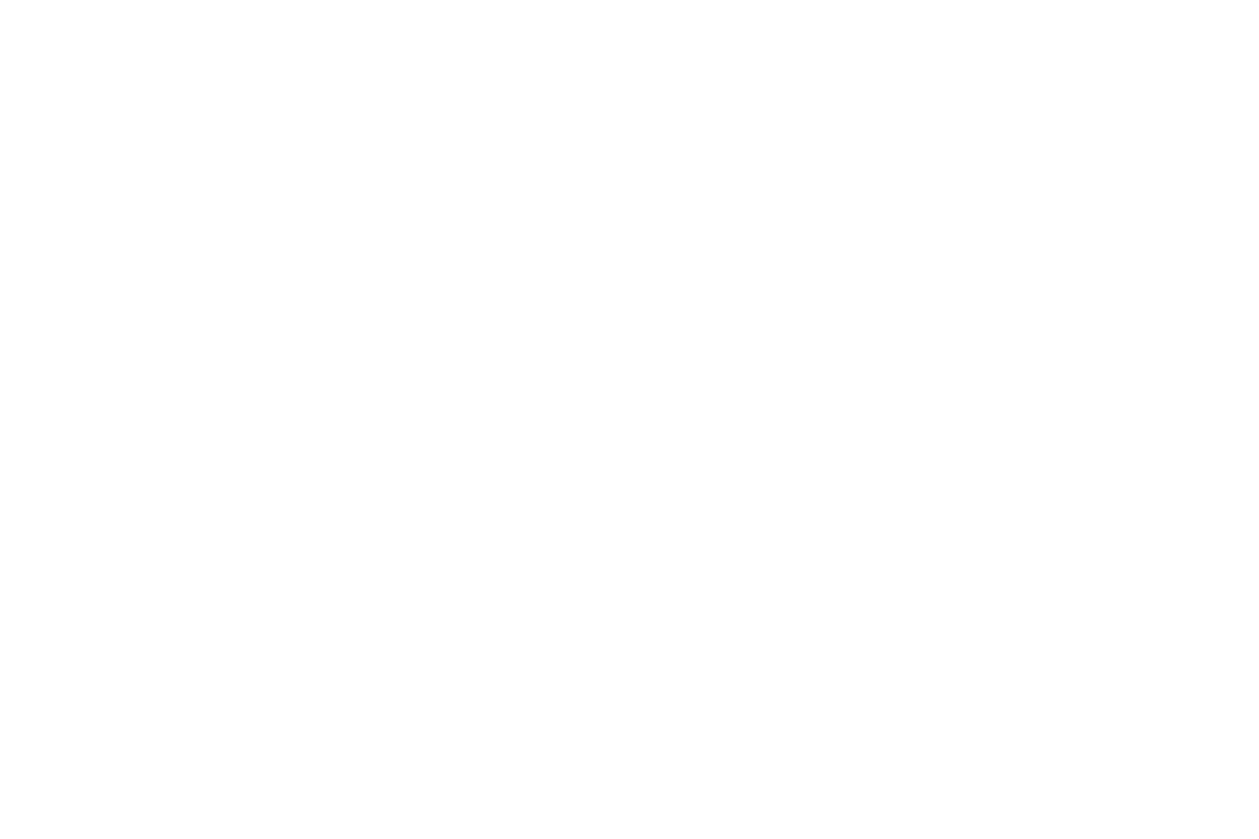 Eli Buren